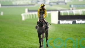 Shishkin found to be suffering from rare condition after Cheltenham flop