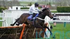 'His future is so big' - Punchestown ruled out for Constitution Hill despite temptation