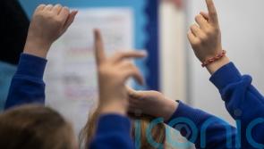 'Unlawful' plan to create special school centres slammed by children's rights expert