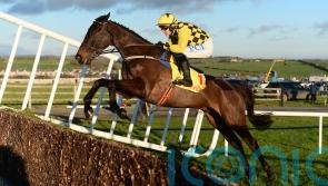 'Fantastic horses' - Gold Cup hero Al Boum Photo and Melon bow out