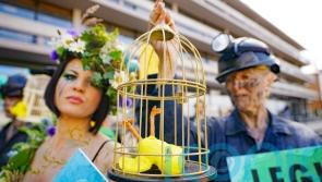 Climate campaigners picket ‘talking shop’ biodiversity conference