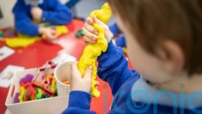 Govt wants to 'significantly lower' childcare fees for parents in Carlow - Tánaiste