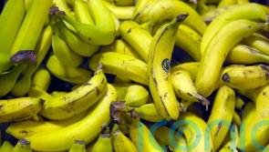 European study reveals potassium-rich foods reduce negative effect of salt in women's diets 