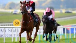 Emmet Mullins’ pair primed for Galway Plate challenge
