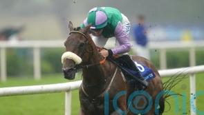 Another Shark attack at Galway Races as Hallowed Star strolls home for Hanlon