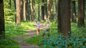 GUIDE: How to get children active in Carlow