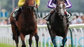 Like father, like son? John Oxx expecting Baaeed to go the distance