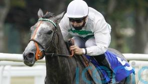 Alpinista answers every call in thrilling Yorkshire Oaks win