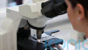 Families encouraged to provide DNA sample to Gardaí on National Missing Persons Day