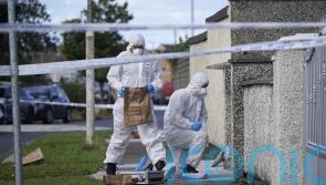 Three siblings killed in violent incident in Dublin named