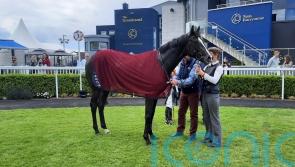 'Two lovely horses' - O’Brien prospects face off at Leopardstown