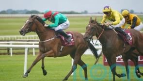 Paddy Twomey sets out Champions Day aim for La Petite Coco