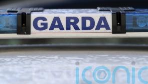 Man dies after light aircraft crashes in Co Clare