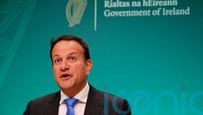 9% Vat rate for hospitality sector could be extended, Tanaiste says