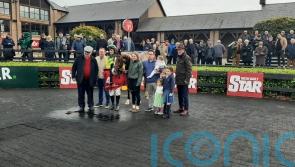 Willie Mullins' Adamantly Chosen impresses at Punchestown