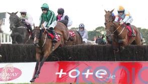 'Right little horse' - Carlow trainer Hanlon living American dream with Hewick – now for the Gold Cup