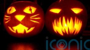 Insurer urges Carlow households to be on guard against Halloween horrors