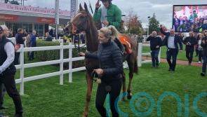 Jockey Brian Hayes hits Cheltenham target with Dads Lad