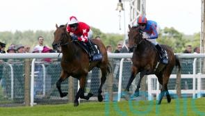 Aidan O’Brien-trained Rock Of Gibraltar dies at the age of 23