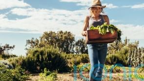 GUIDE: Ways to make your life more eco-friendly while also saving money