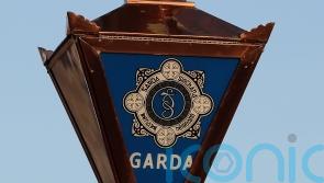 Drugs with street value of almost 300,000 euro seized in Lime