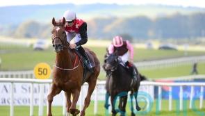 Carlow trainer 'Shark' Hanlon has National ambition with new recruit Cape Gentleman