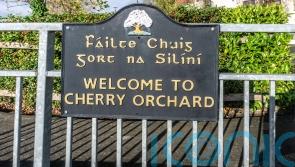 Government sets up group to ‘intensify’ support for Cherry Orchard