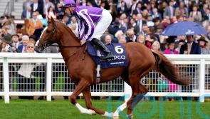 'Shark' Hanlon eyeing summer campaign with Wordsworth
