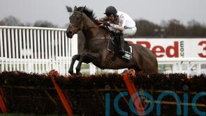 Nicky Henderson: Cheltenham still the most likely destination for Honeysuckle clash
