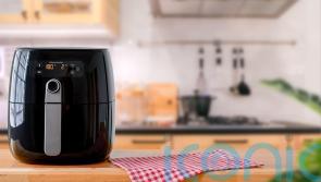 GUIDE: Seven quick and tasty meals to cook in an air fryer