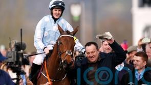 Honeysuckle seeking perfect Cheltenham Festival swansong