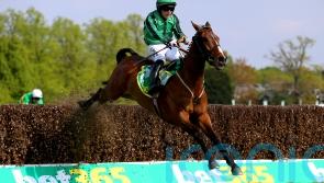 Carlow's Hanlon eyes possible Punchestown tilt for Hewick after Cheltenham fall
