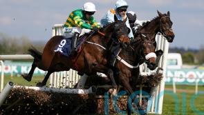 Liverpool repeat for super Sire Du Berlais for Cheltenham-Aintree double
