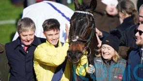 Cheltenham hero skips Punchestown date