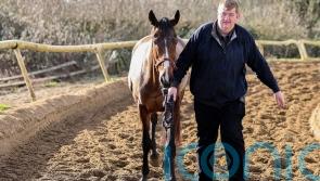 Carlow trainer Shark Hanlon set for late call on ground for Hewick at Punchestown