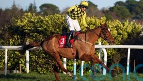 State Man expected to end excellent season on high in Punchestown Champion Hurdle