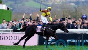 Willie Mullins-trained Galopin Des Champs lauded as top jumps performer