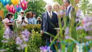 Irish president warns planet is ‘in peril’ as he launches gardening festival