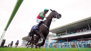 All-conquering Willie Mullins turns his thoughts to Royal Ascot