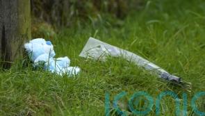 Family left ‘devastated’ after boy and grandparents killed in Co Tipperary crash