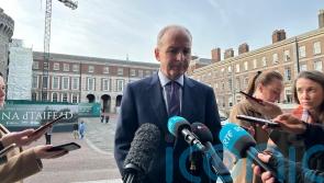 Governments ‘not given proof of life of Hamas’s hostages’ – Micheal Martin
