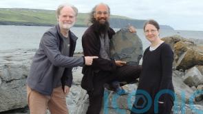 ‘Exceptional’ 315-million-year-old fossil sponge found in Irish cliffs
