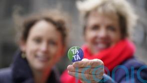 Referenda proposals ‘a step forward towards a more fair Ireland’ – Labour leader
