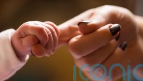Bishops issue warning on proposed changes on family and care in constitution