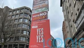 Polls open in twin referenda over changes to Constitution