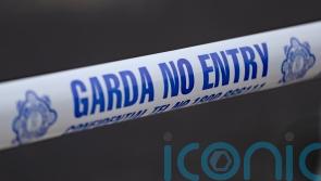 Man arrested over apparent attempt to abduct toddler in Dublin