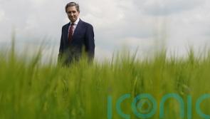 No need to reduce cattle numbers to hit carbon emissions target – Taoiseach