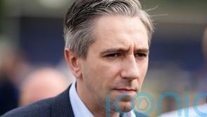 Ireland not immune from terror threat, warns Harris