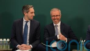 Green leader ‘entitled to opinion’ but no pressure for November poll – Taoiseach