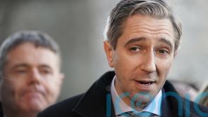 Simon Harris ‘not sure’ whether he will allow John McGahon to join canvass team